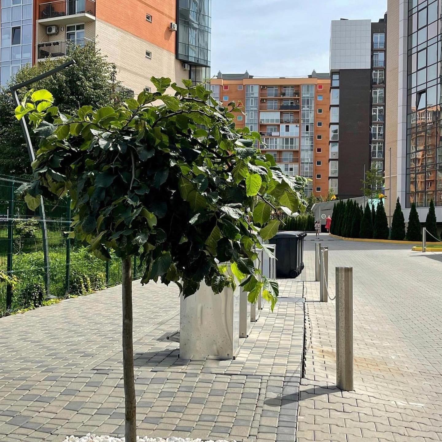 Vodogray Luxury Apartments With Underground Parking Елітний Житловий Комплекс Çernivtsi Dış mekan fotoğraf