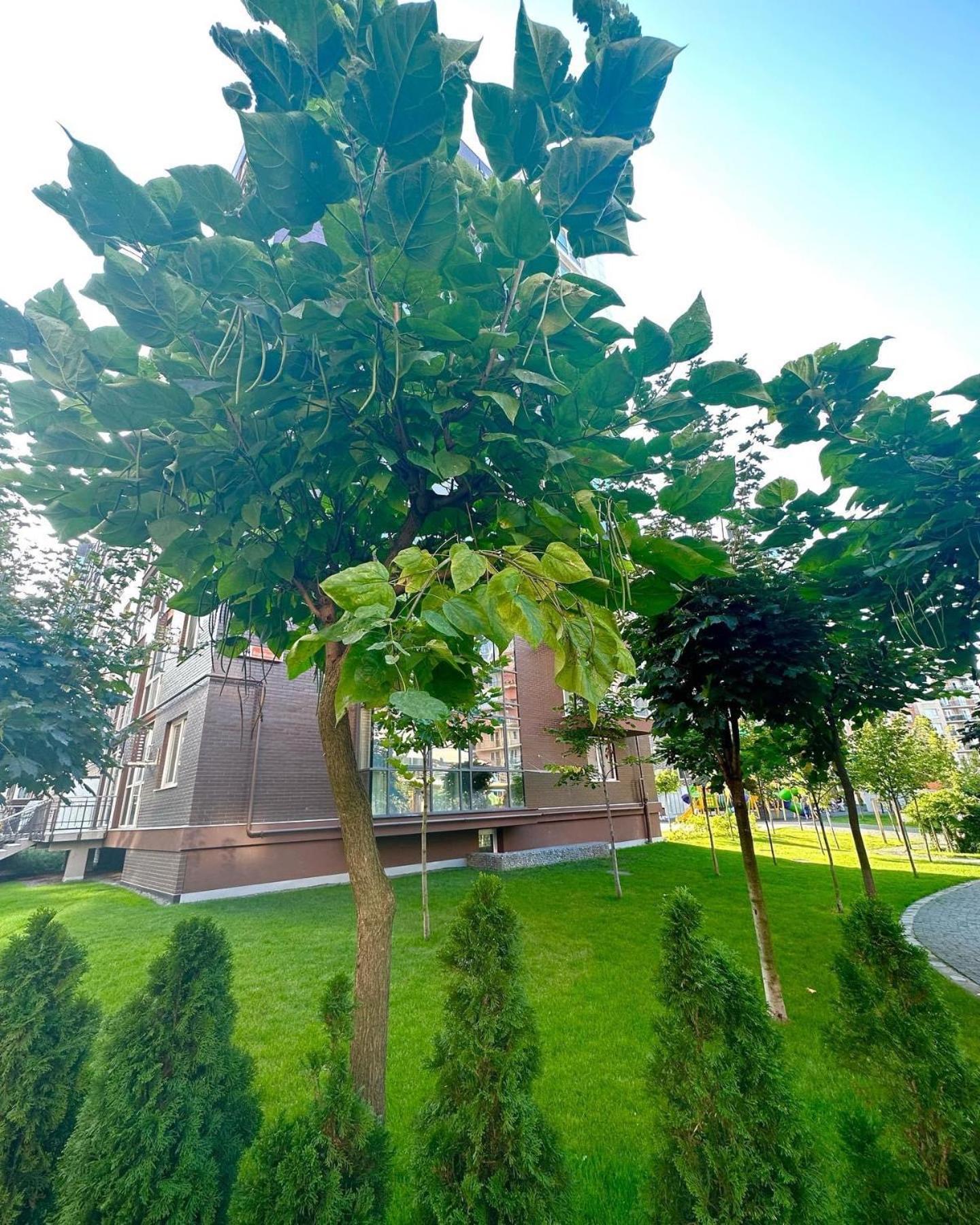 Vodogray Luxury Apartments With Underground Parking Елітний Житловий Комплекс Çernivtsi Dış mekan fotoğraf