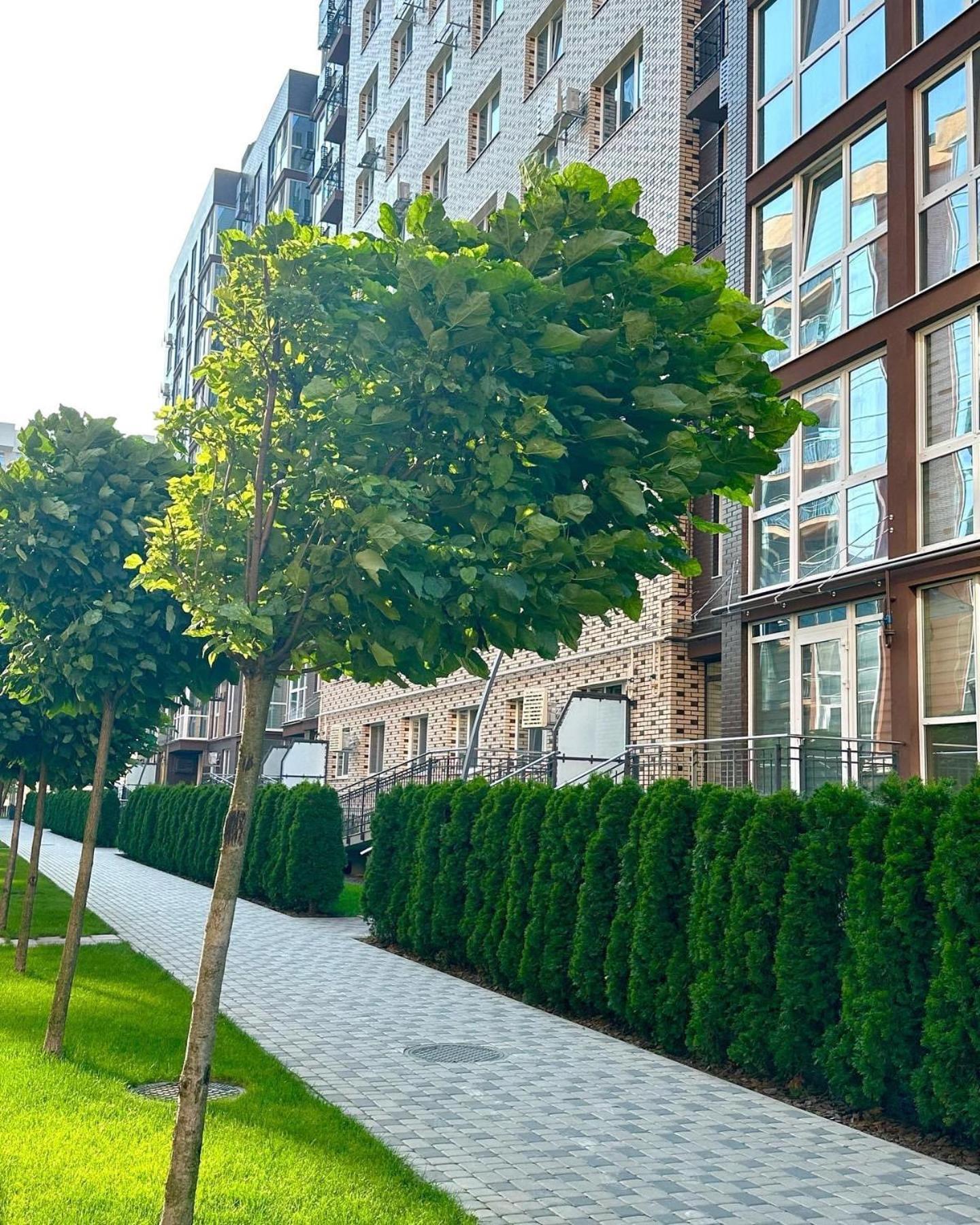 Vodogray Luxury Apartments With Underground Parking Елітний Житловий Комплекс Çernivtsi Dış mekan fotoğraf